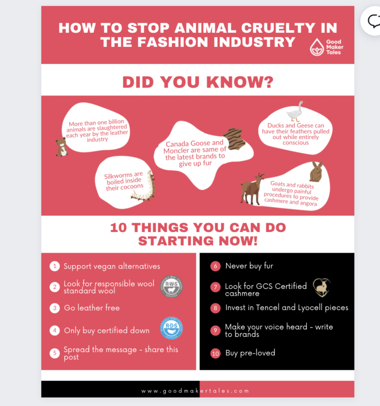 How to stop animal cruelty in the fashion industry 10 things you can