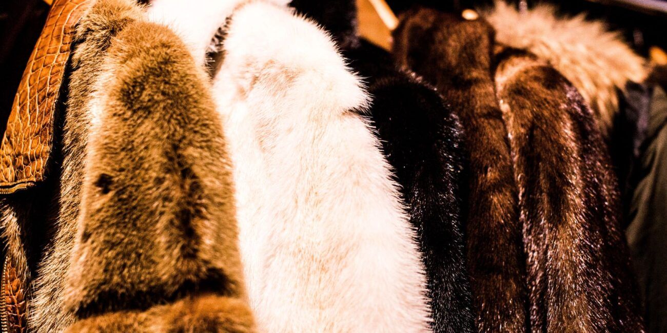 What is faux fur, is it toxic and how to buy better