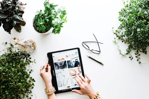 Image of ipad surrounded by green plants