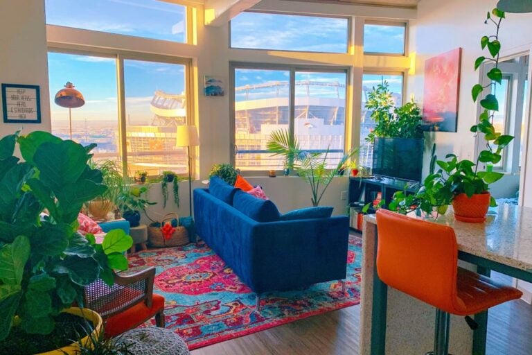 A living room full of house plants